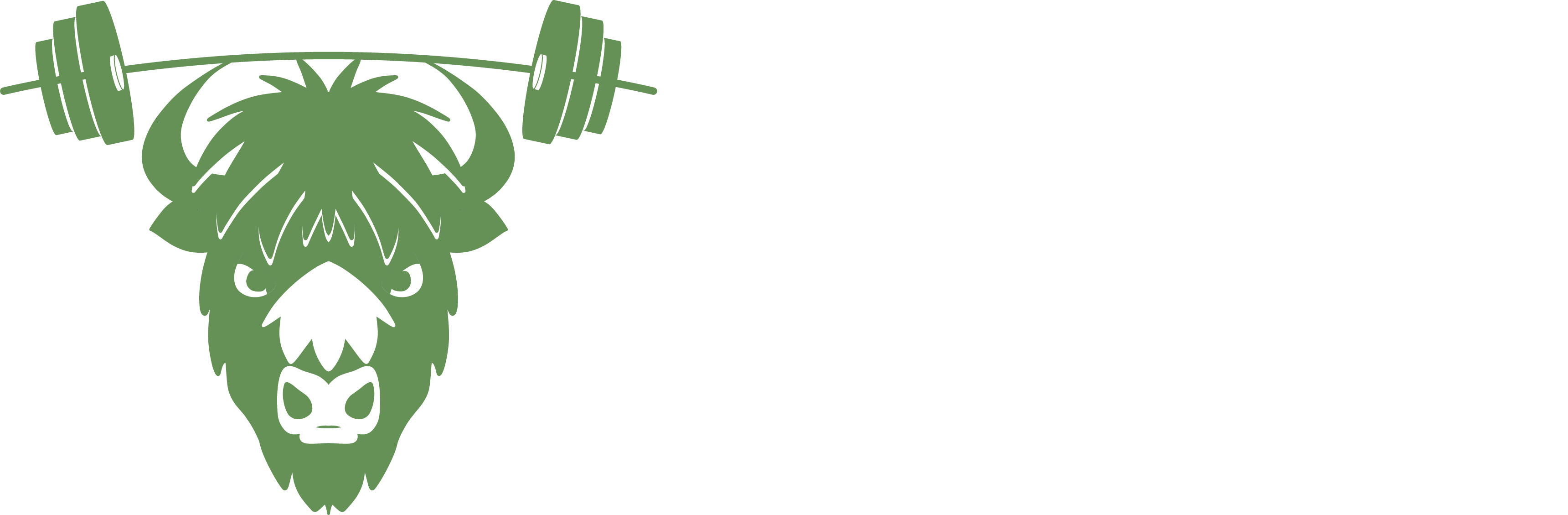 Drive Wellness Center